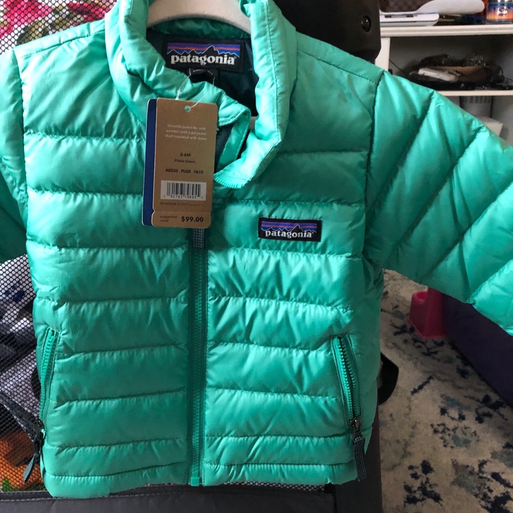 Patagonia puffer